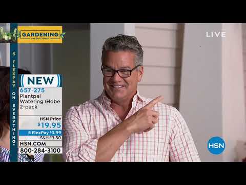 Plantpal Watering Globe 2pack