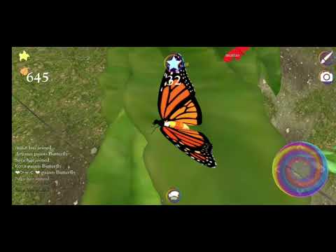 Butterfly Game Video