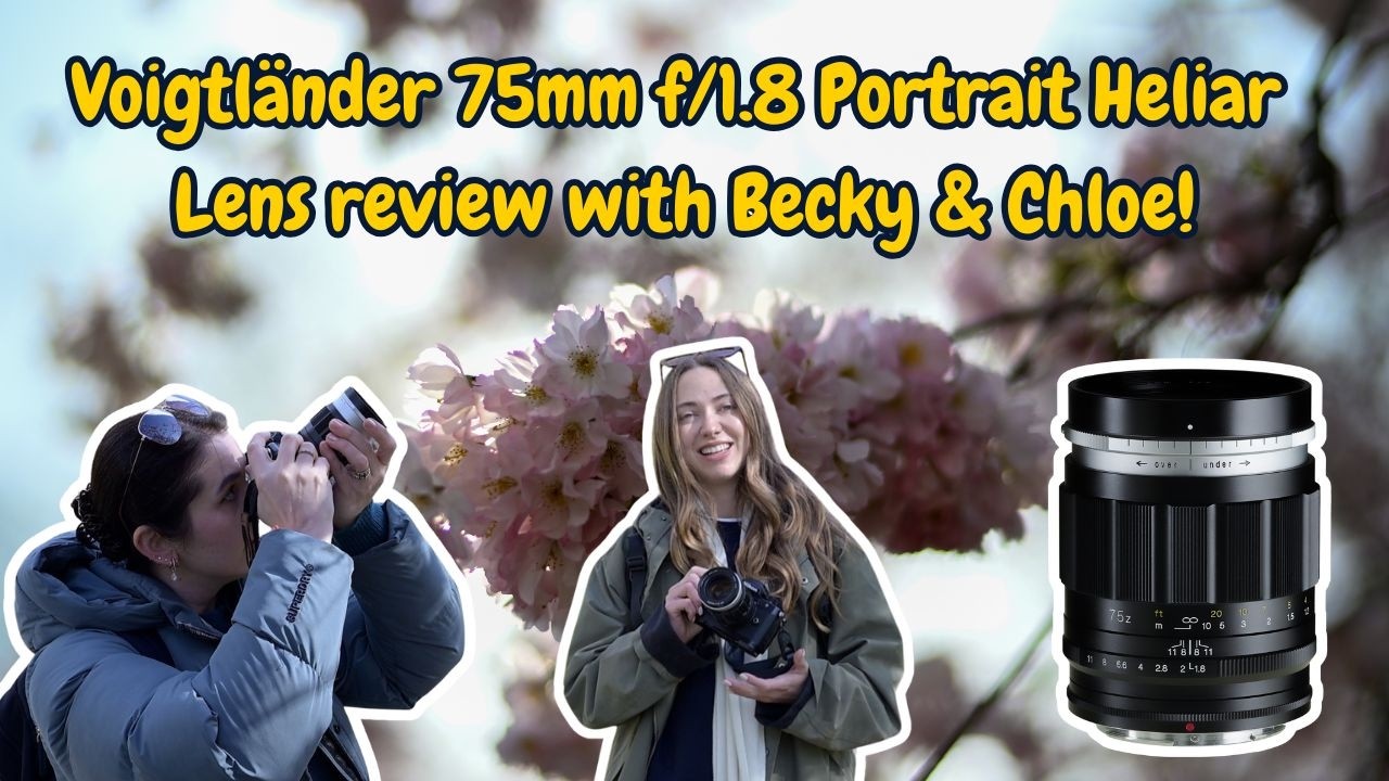 Video thumbnail for Video Review 1