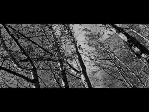 Laura May - Grey (Official Music Video)