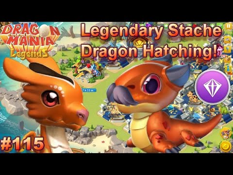 LEGENDARY Stache Dragon Hatching + Kangaroo Dragon + Shirts! - Dragon Mania Legends #115