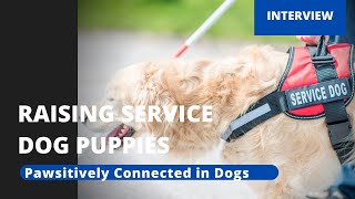 Raising a Service Dog Puppy