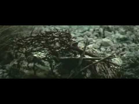 It's About the Cross