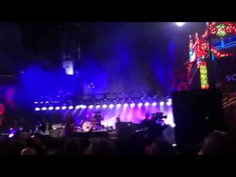 Thumbnail for Rick Springfield & Dave Grohl - I've Done Everything For You by Sound City Players
