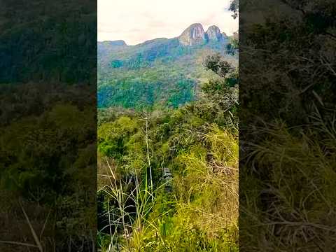 Trem na Serra do Mar-Corupá Malha-Sul SC-Brasil (2026) #trensbrasil #scbrasil #rumo #railfan #trains
