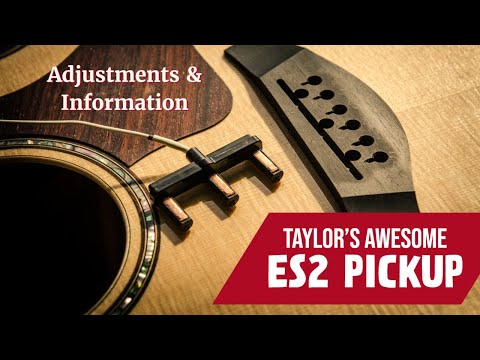 Taylor ES2 Pickup Information and Adjustment