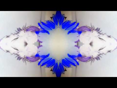 Twaróg We Mgle - Komplikacja (wersja Voodoo) Klip