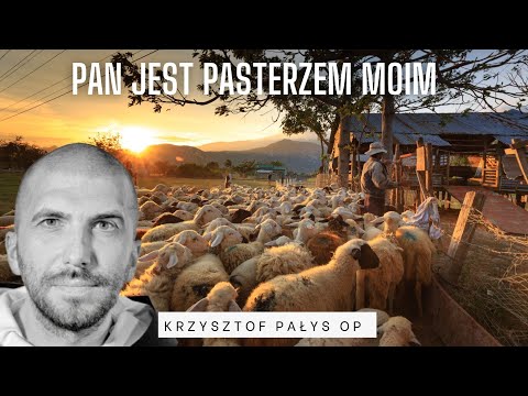 Pan jest pasterzem moim. o. Krzysztof Pałys OP