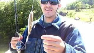 preview picture of video 'Pescaria de Lambari no Asfalto!'