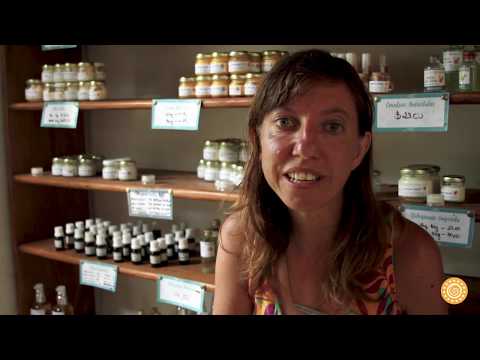 PLANTE INKIRI e o cuidado com as águas | Inkiri Piracanga