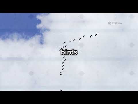 What is the Year of the Elephant?