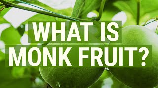 What is Monk Fruit?