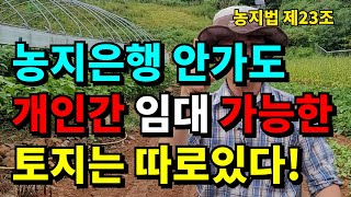 농지임대차계약 개인간에도 가능할까? 꼭 농지은행을 가야할까? / 농지법 / 농지은행 / 농지원부 / 경영체등…