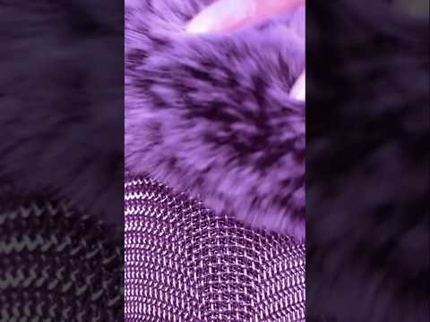 ASMR - Brain Melting MicTriggers - Fluffy Fur - Deep Sleep and Tingles #asmrindahouse