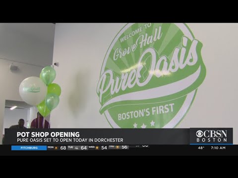 Boston's First Recreational Marijuana Shop Opening In Dorchester