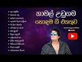 Namal Udugama best songs collection | නාමල් උඩුගම හොඳම ගීත එකතුව | Sinhala S