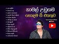 Namal Udugama Best Songs Collection නාමල් උඩුගම හොඳම ගීත එකත