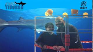 DIA 2 Expo Tiburon74