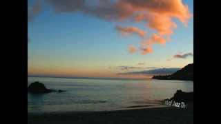 Miles Davis -  Summer Night