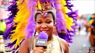 2014 NY West Indian Day Carnival Highlights w. Vivaa - 2014 West Indian Day Parade