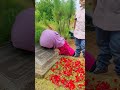 Kakak Nisa Abis Doain Abi