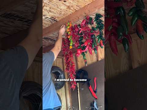 I hang dry my peppers like an Italian grandma