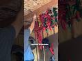 I hang dry my peppers like an Italian grandma