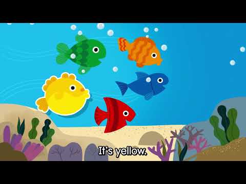 Smart English 2nd Edition Starter Unit 6 Chant - What Color Is It?