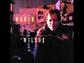 'It's The Same Old Song' by David Wilcox