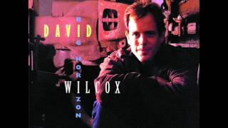 'It's The Same Old Song' by David Wilcox