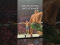 POV the best seats at UFC 312 Dricus Du Plessis vs Sean Strickland #shorts #UFC #mma