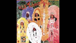 The Wild Tchoupitoulas - Meet de Boys on the Battlefront (1976)