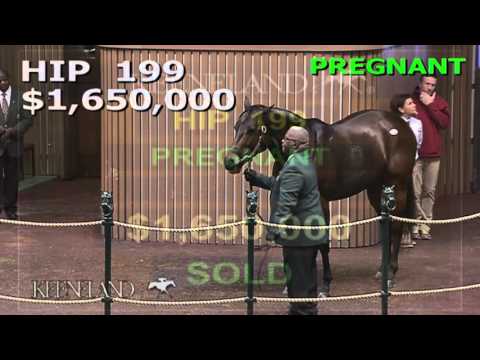 Keeneland November Sale Session 1 Wrap