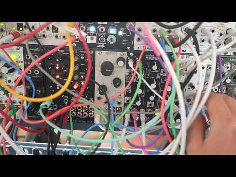 Modular ambient drone self-playing patch. With added cat!