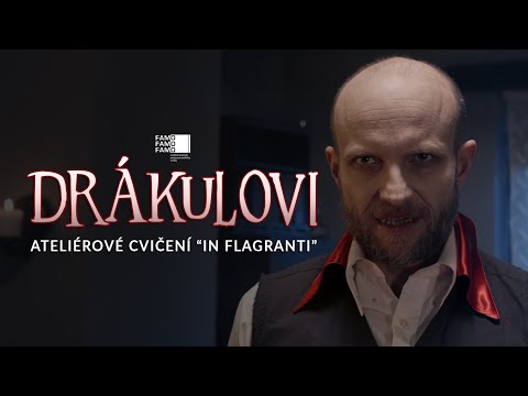 Náhled pro video reference