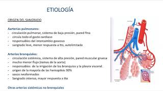 Hemoptisis (Dra. Cecilia Chao) - Módulo Respiratorio