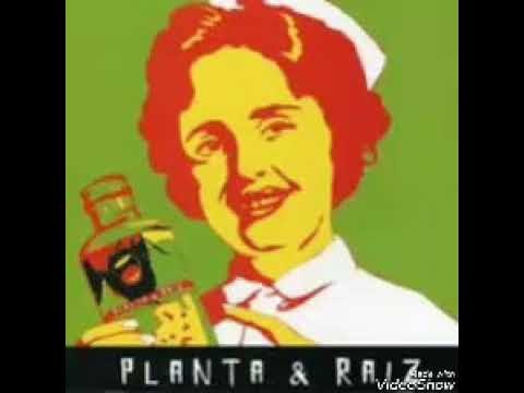 O Ragga - Planta & Raiz