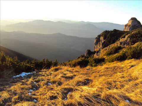 FOCUL VIU - Focuri vii