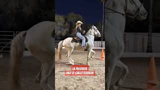La Pecosita - Lalo el Gallo Elizalde