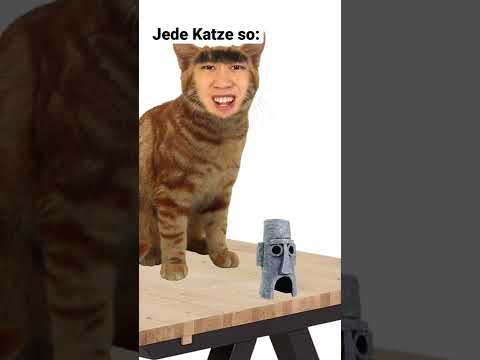 Cats or dogs? | #andylee #shorts