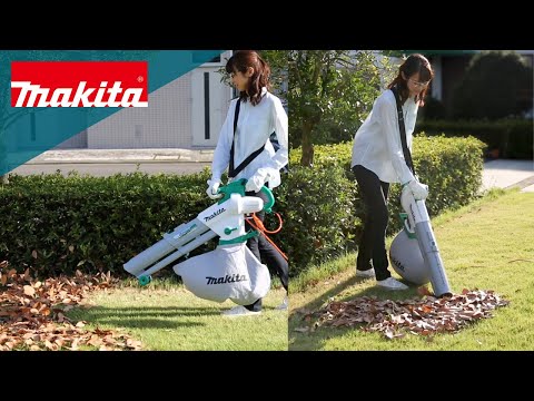 庭掃除に最適な道具は何ですか？リーフシュレッダーバキュームまたはリーフブロワー  庭園