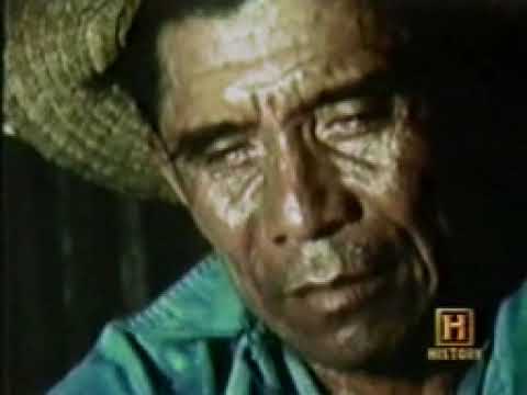 In Search Of: Witch Doctors