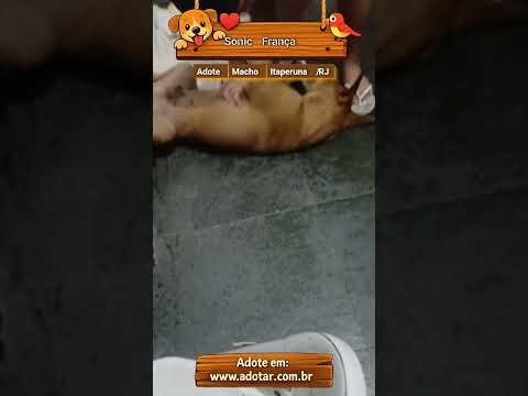 Vídeo de Sonic França