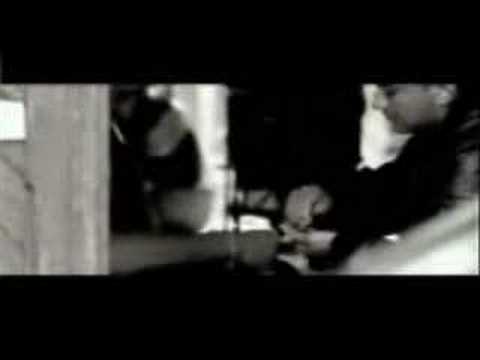 bacapon lichter der stadt clip