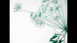 Is Love Enough? - Michael Franti &amp; Spearhead