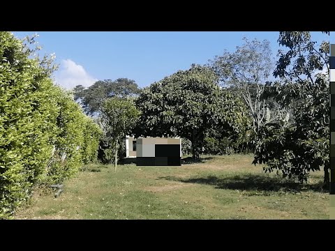 Fincas y Casas Campestres, Venta, Palmira - $560.000.000