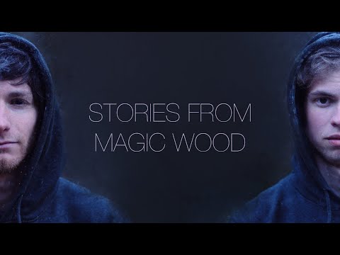 Stories from Magic Wood - Linus Raatz & Stephan Vogt