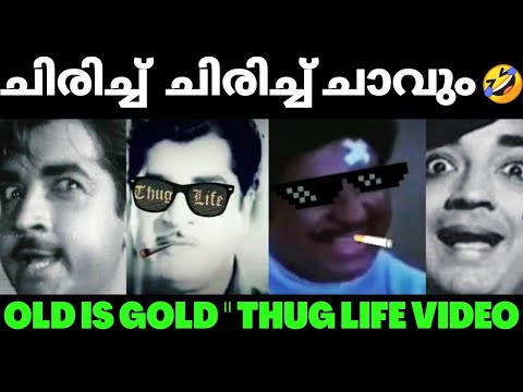 MALAYALAM OLD MOVIES THUG LIFE VIDEO 😎|PREM NAZEER ONLY|SELECTED|🤣🤣🤣
