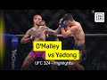 Sean O Malley Vs Song Yadong UFC 324 DAZN Highlights