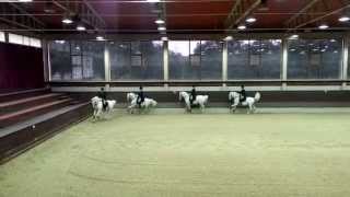 preview picture of video 'Performance of the classical riding school in Kobilarna Lipica, Slovenia'